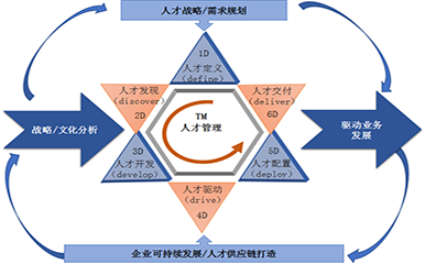 驱动业务发展的人才管理体系构建