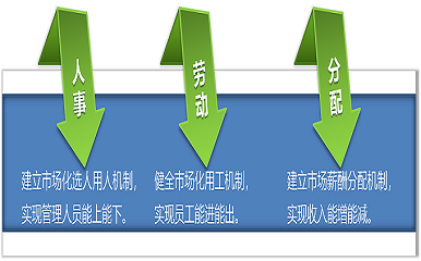 【国企改革】国企三项制度改革